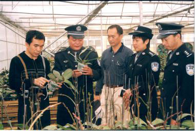 走访台资企业
