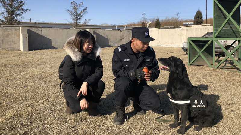 记者同柳宗健（中）一起训练警犬忠诚