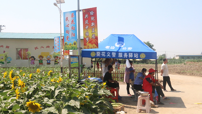 “葵花义警”
