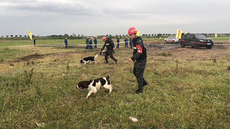 微信图片_202105270954563