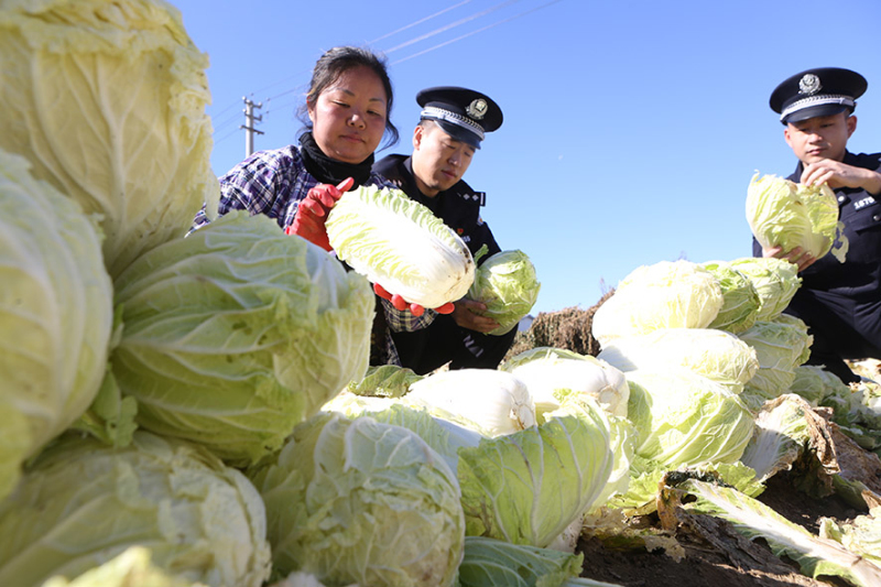 f5158f7b51f971b5fea73534cc08702