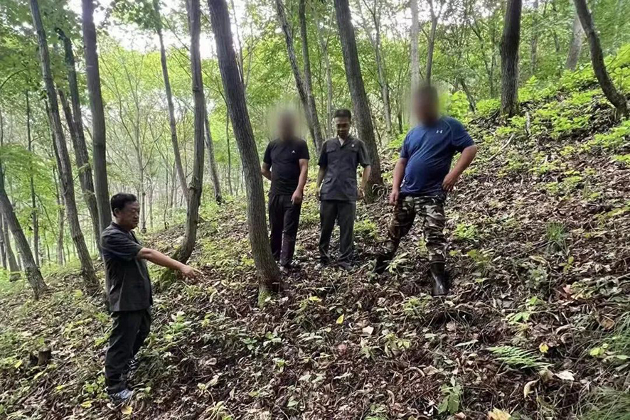 （本溪中院）桓仁县法院华来法庭法官深入涉案林下参园进行现场勘查