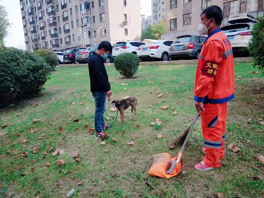 头题配图 劝导规范遛狗行为
