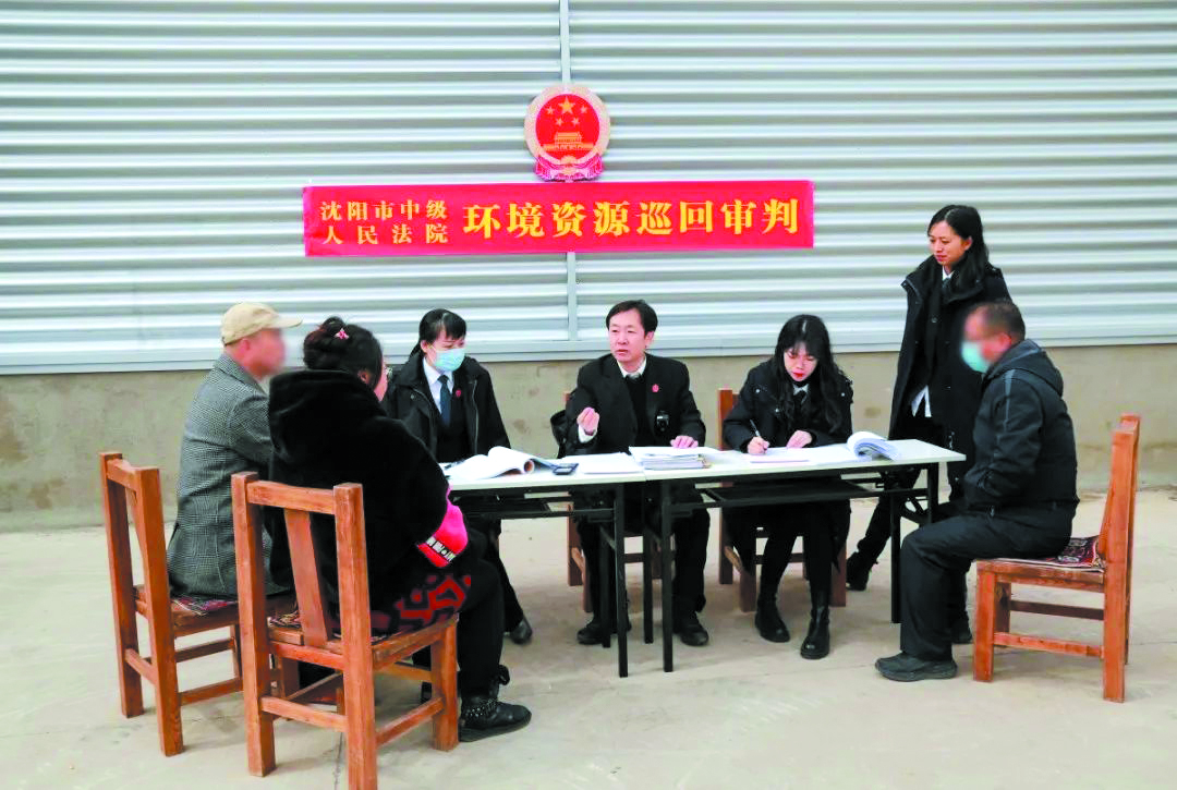 沈阳中院环资巡回审判配图1