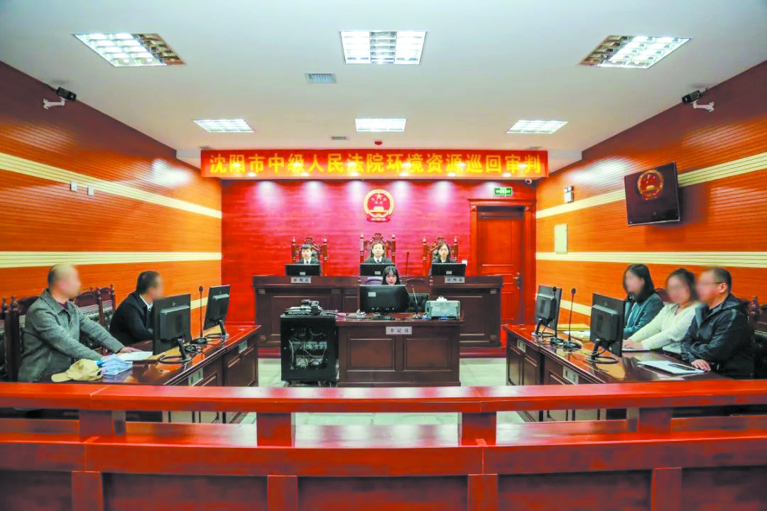 沈阳中院环资巡回审判配图2