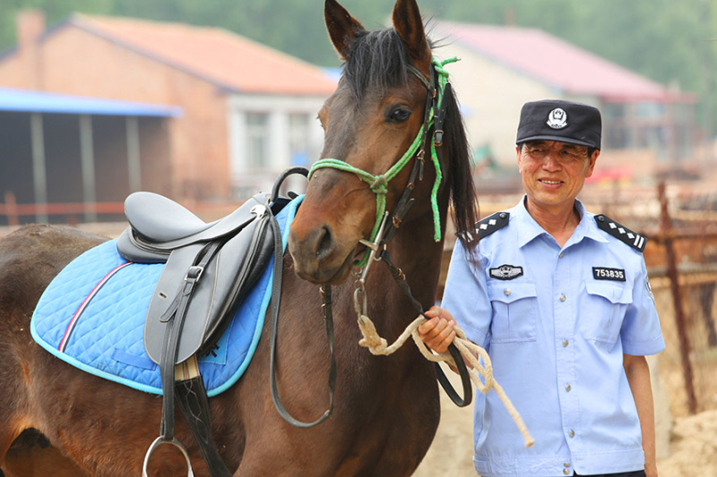 民警每天都悉心照料着爱马。