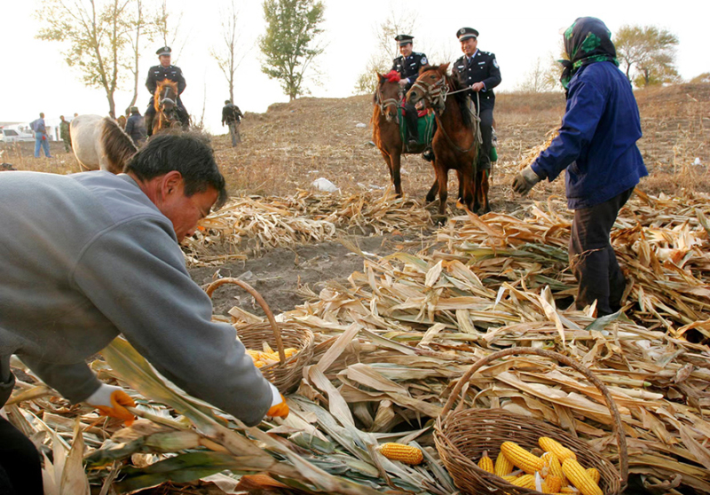 2009年10月，“马背110”民警在田间巡逻。