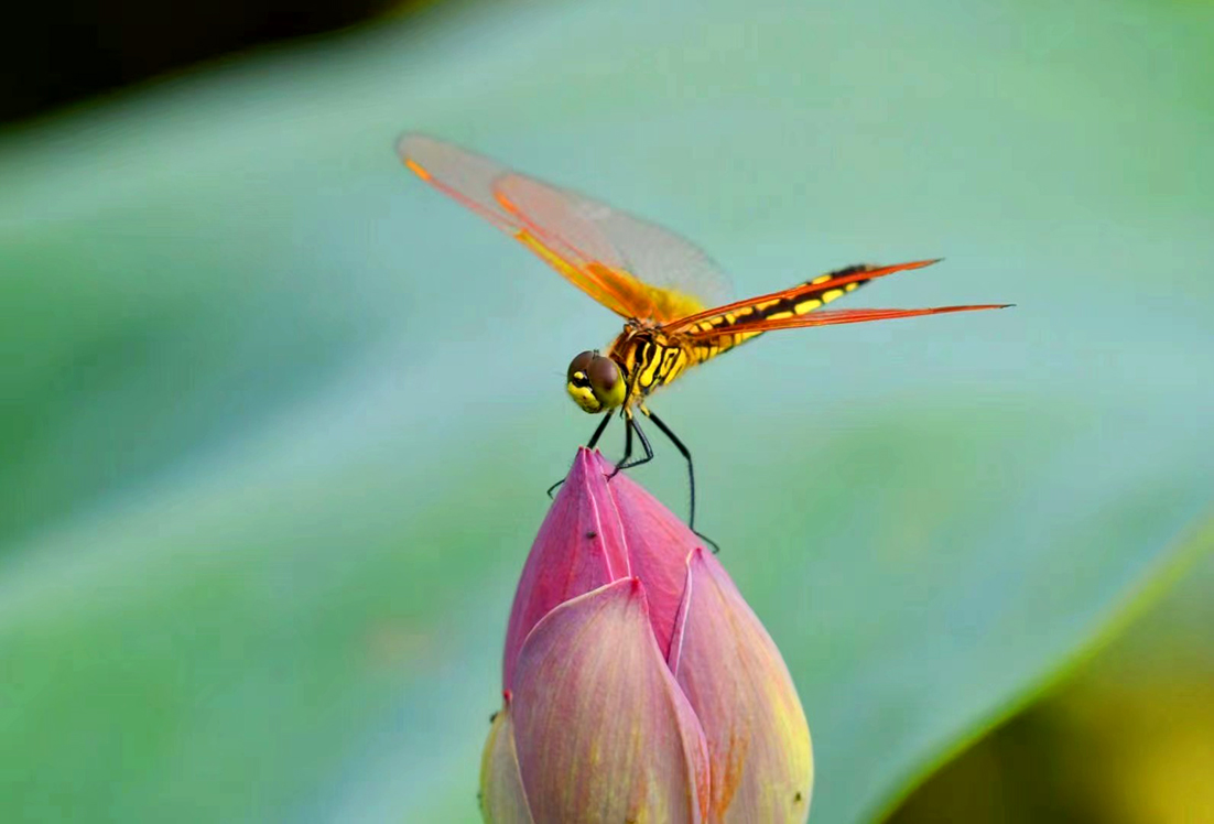 微信图片_20230720143700