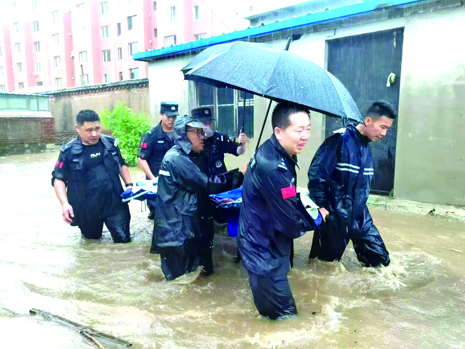 图片1