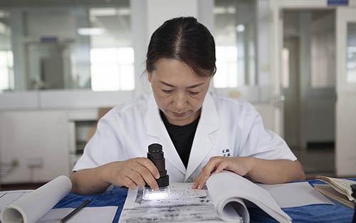 微信图片_20250102190936