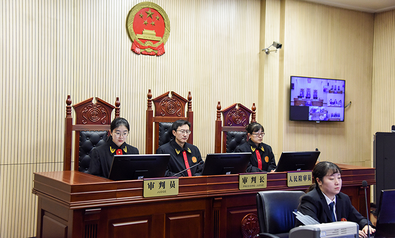 沈阳中院行政审判庭开庭审理一起案件
