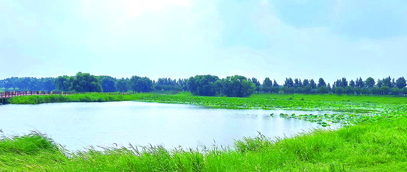 沈阳七星国家湿地公园碧波荡漾