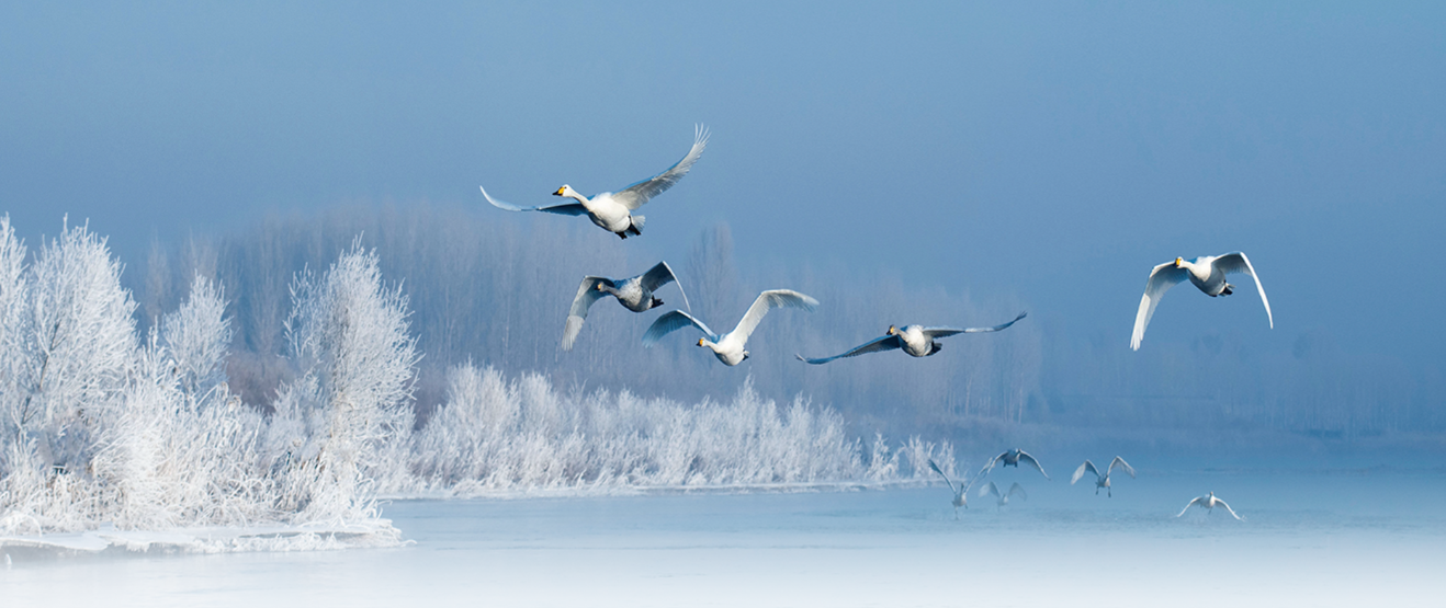 ScreenShot_2026-02-02_090333_814