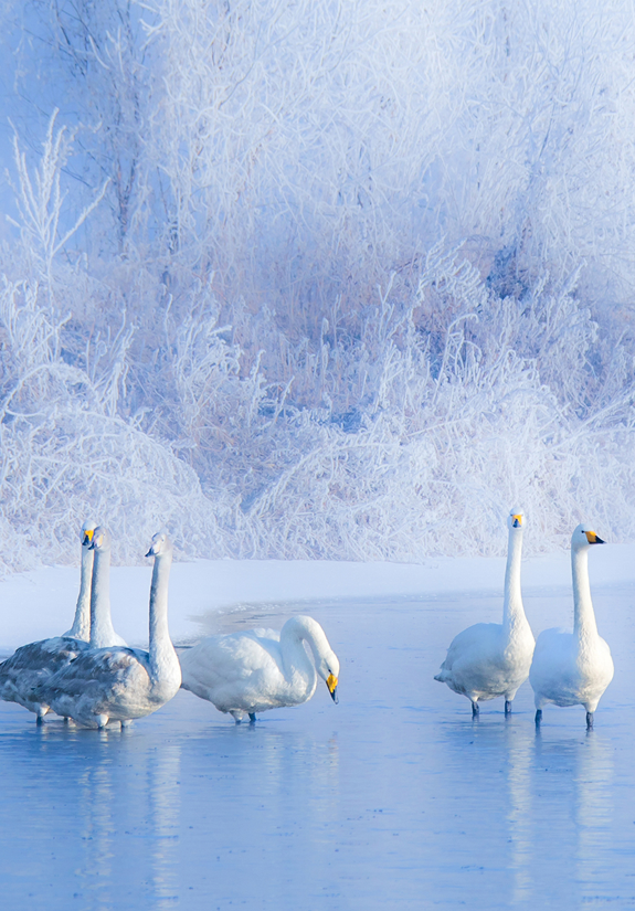 ScreenShot_2026-02-02_090401_731