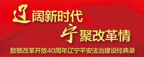 致敬改革开放40周年辽宁平安法治建设经典录