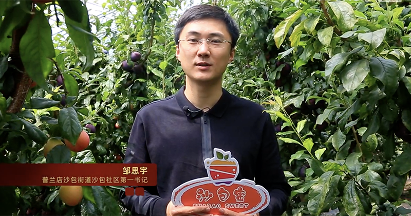 第五届平安中国“三微”大赛辽宁获奖最佳短视频展播 |《沙包子的特色水果》